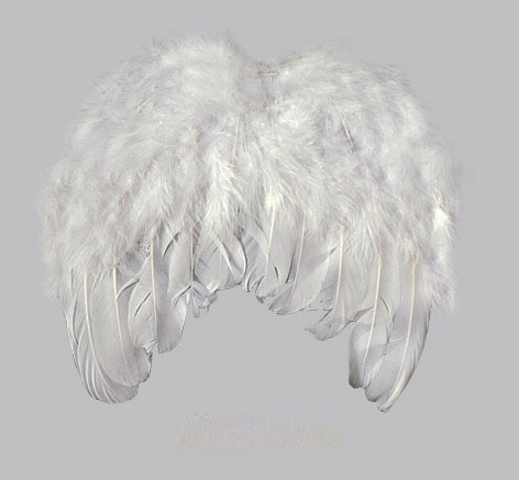 Alas Ángel Plumas Mini 20x20 Cm