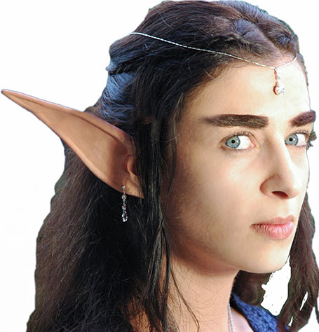 Nightelven Ears Application Fx