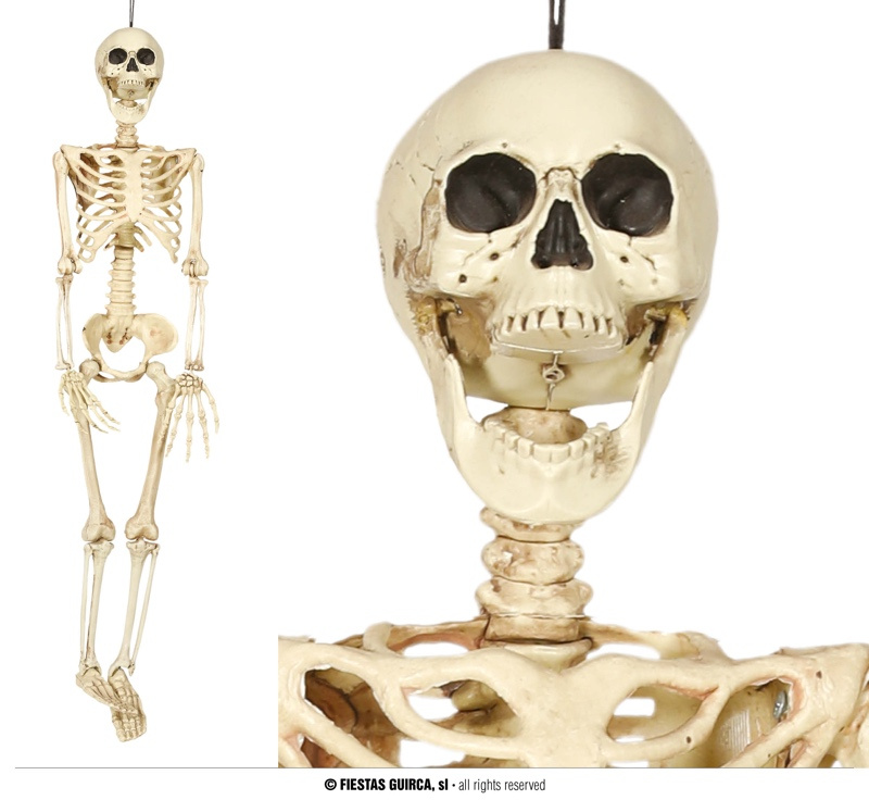 Colgante Esqueleto 90 cms.