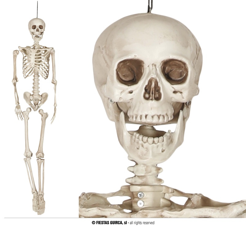 Colgante Esqueleto decorativo 160 cms