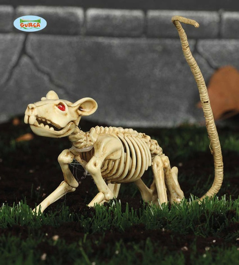 Esqueleto Rata 20cm