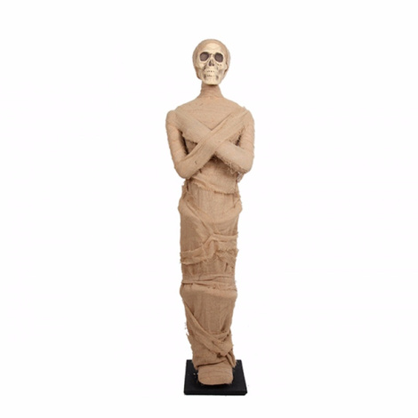 Momia de pie ( 157x47x27 cm )