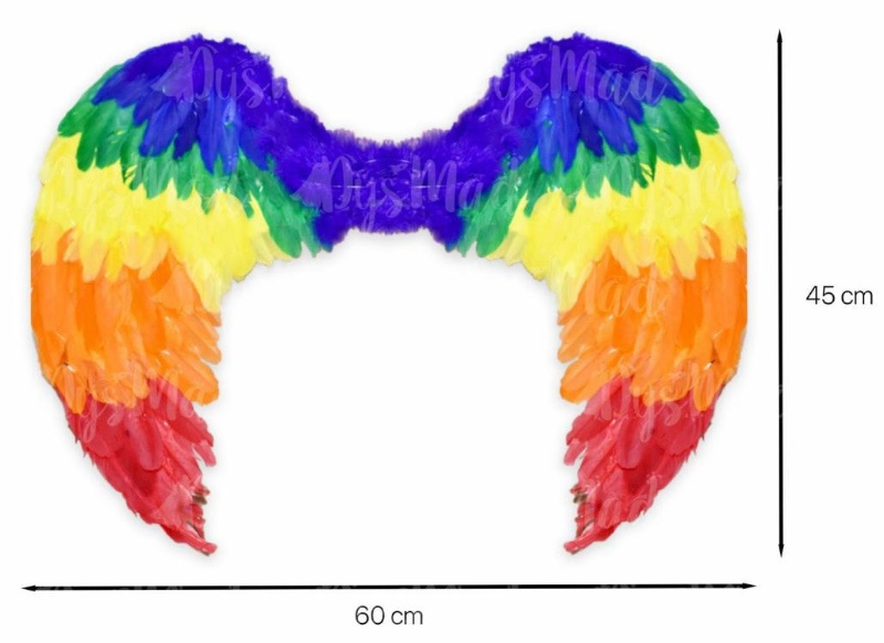 Alas plumas multicolor 60x40 cms.