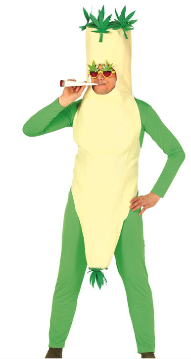 Disfraz de Porro adulto