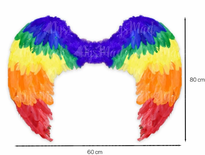 Alas plumas grande multicolor 60x80 cms