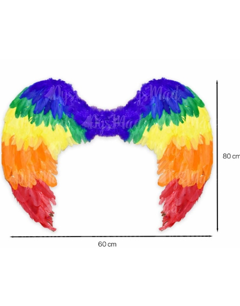Alas plumas grande multicolor 60x80 cms