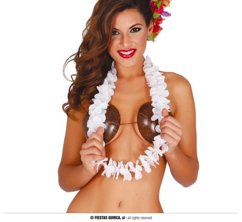 Collar Hawaiano Colores