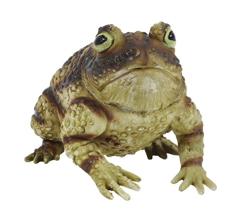 Sapo látex 25 cms.