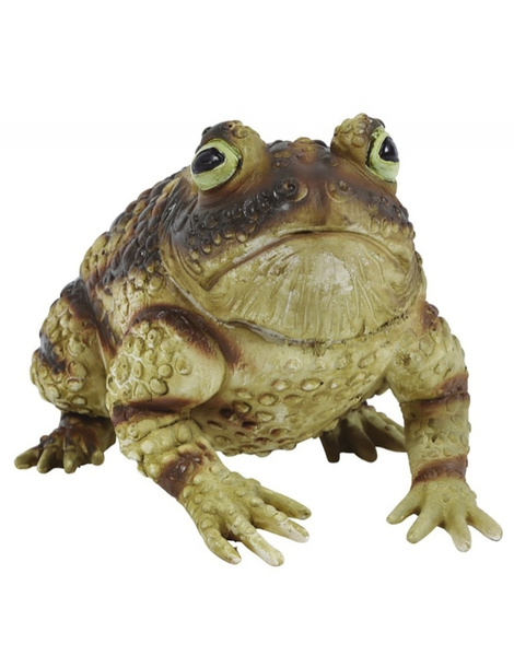 Sapo látex 25 cms.