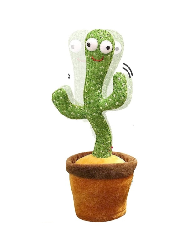 Cactus Bailarín con grabador