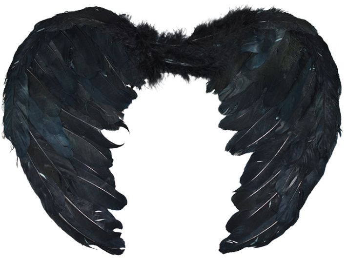 Alas de ángel negras grande 80x60cms