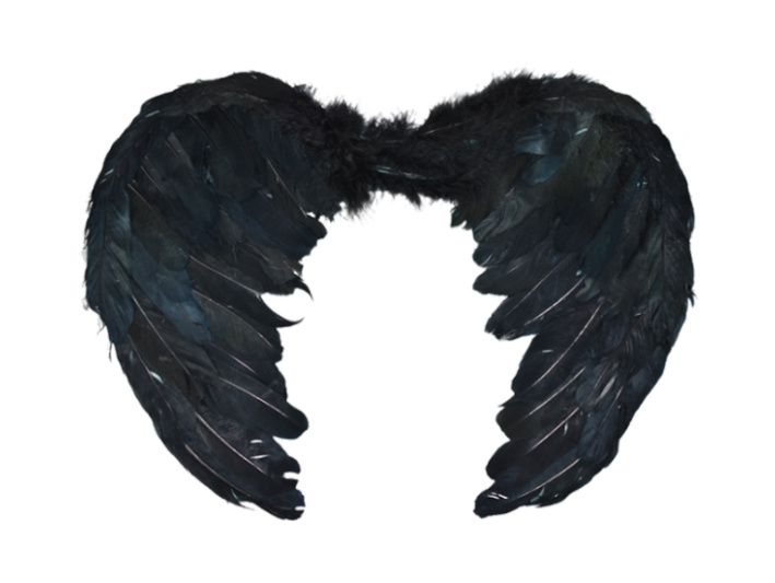 Alas de angel negras 45x35 cms.