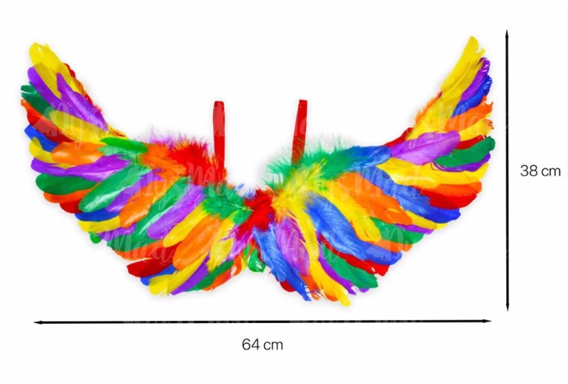 Alas plumas multicolor 38x64 cms