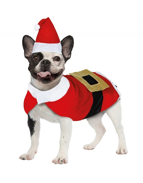 Disfraz Papa Noel para mascotas