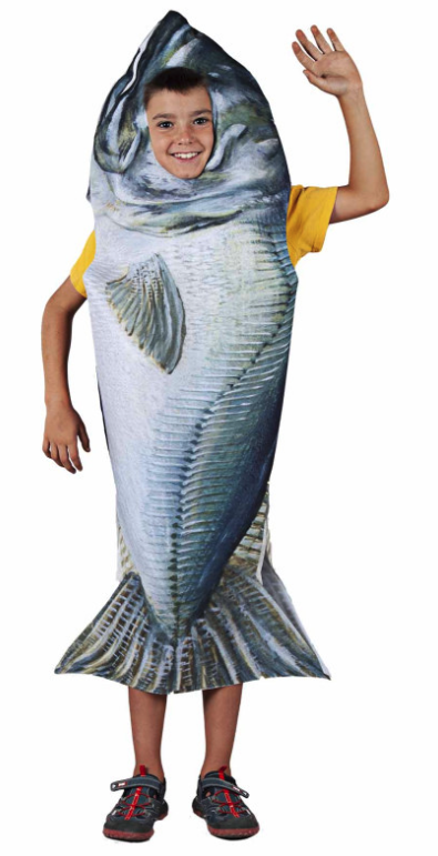 Disfraz Merlucin infantil