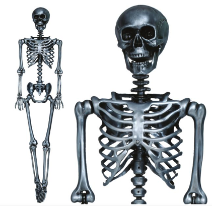 Esqueleto articulado grande col. 160 Cms