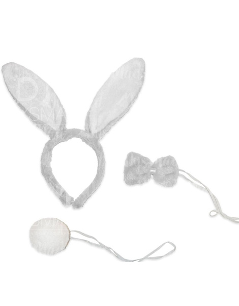 Conjunto Conejo gris-blanco
