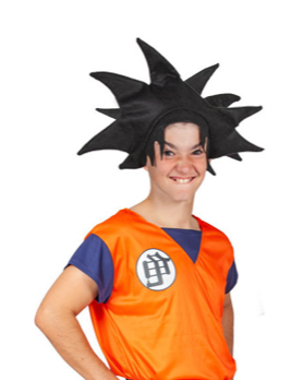 Peluca Karateca Pincho