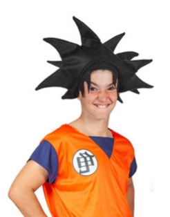Peluca Karateca Pincho
