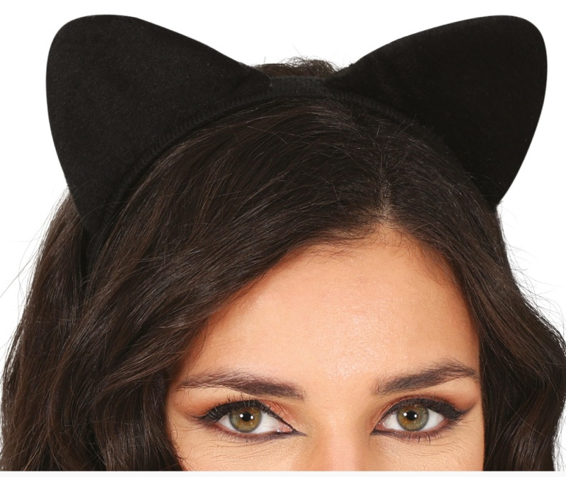 Diadema gatita, adulta