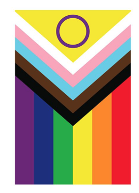Guir. bandera inclusiva 30x20 cm papel
