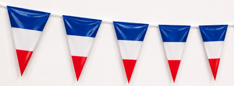 Guirnalda Bandera Francia plastico 25M
