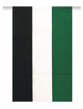 Bandera Extremadura plástico 50Mtr.20x30