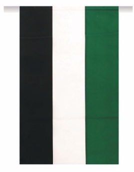 Bandera Extremadura plástico 50Mtr.20x30