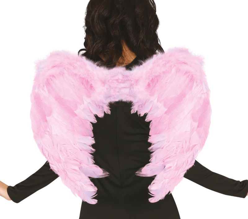 Alas Plumas Rosa 60x50 cms.