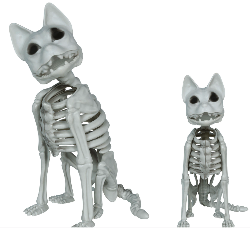 Esqueleto gato, pvc, 37 cm