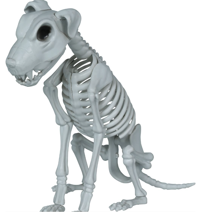 Esqueleto perro, pvc, 38 cm