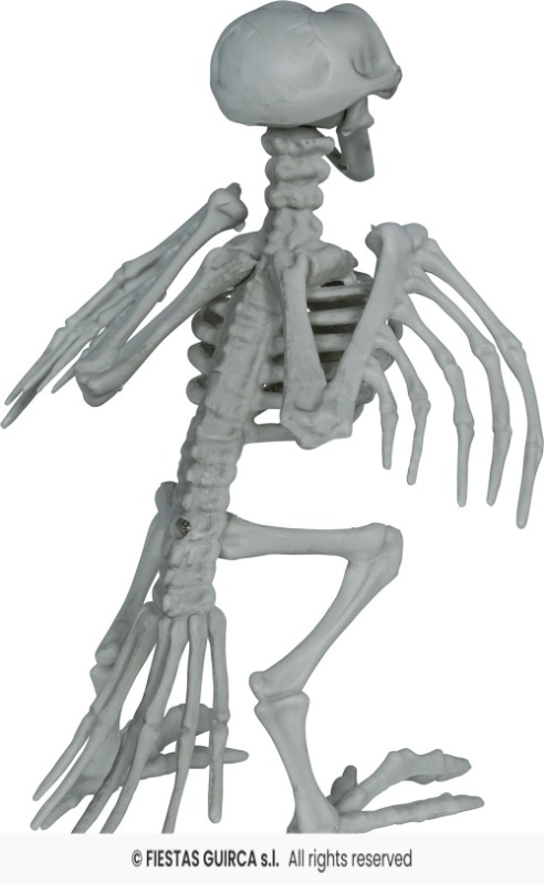 Esqueleto cuervo, pvc, 20 cm