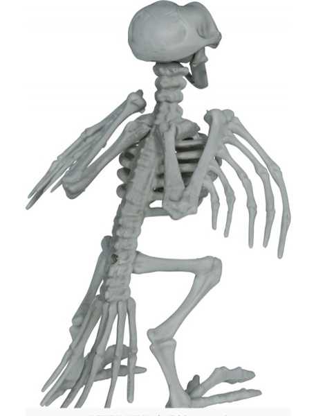 Esqueleto cuervo, pvc, 20 cm