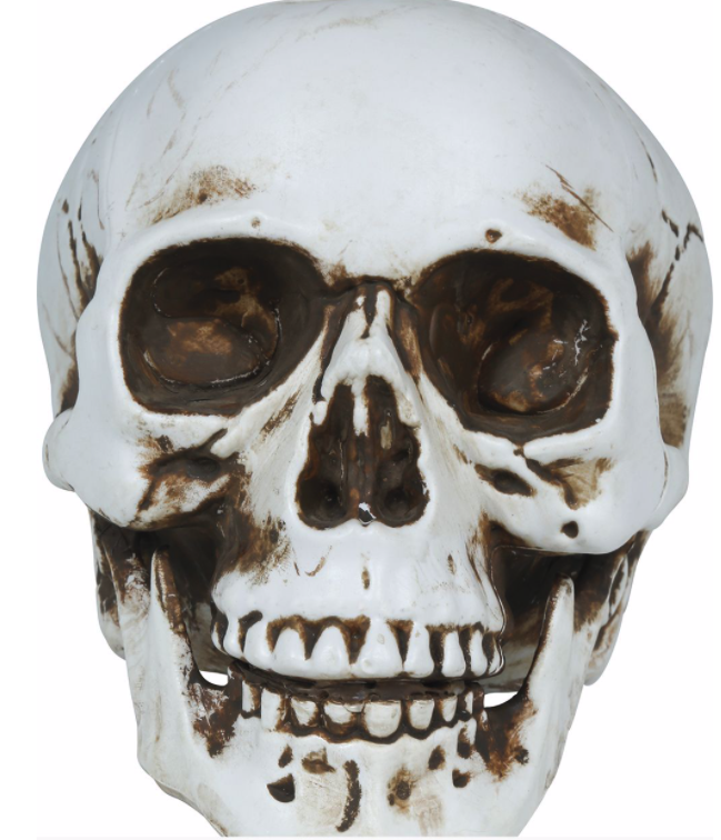 Calavera , pvc, 22 cm