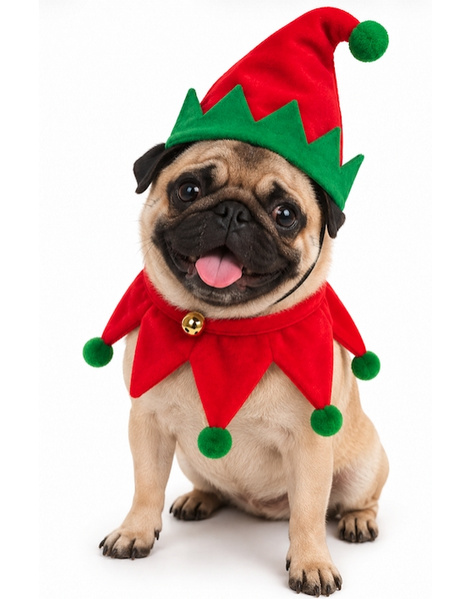 Gorro+collar Elfo Perrito