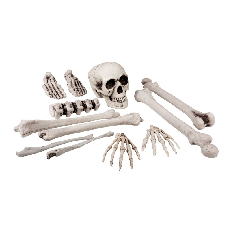 Kit huesos esquqleto 12 piezas