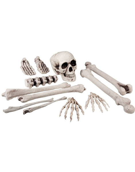 Kit huesos esquqleto 12 piezas