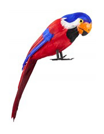 Loro