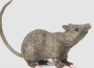 Rata Peluda Muy Real 22 Cm