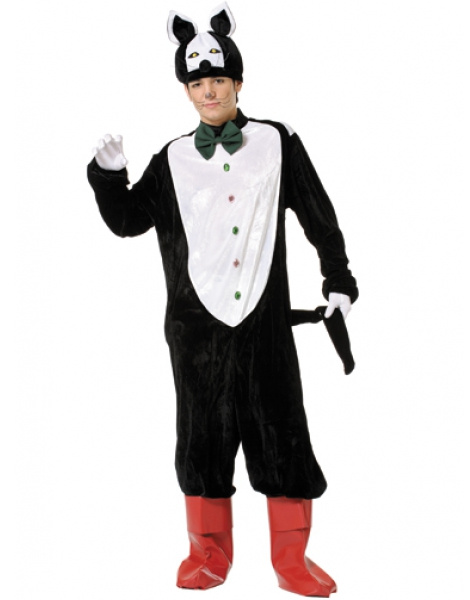 Disfraz Gato con botas