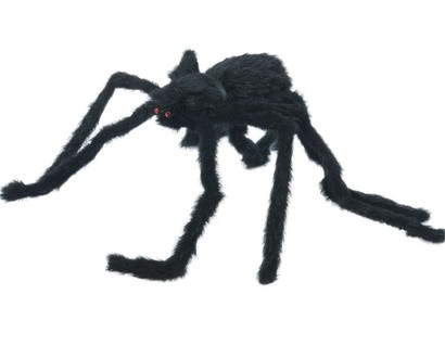 Araña Peluda