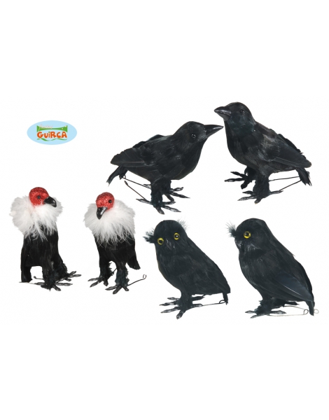 PÁjaro DecoraciÓn Halloween