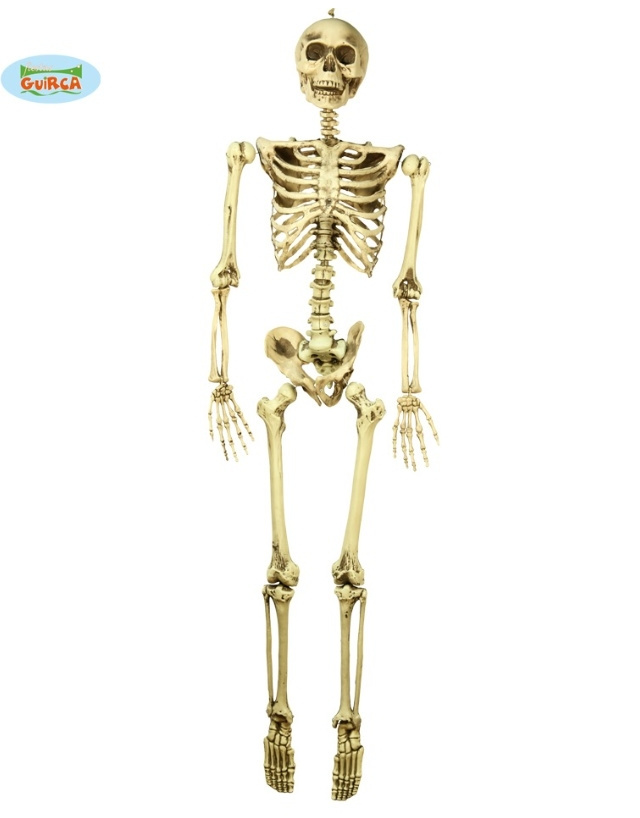 Esqueleto