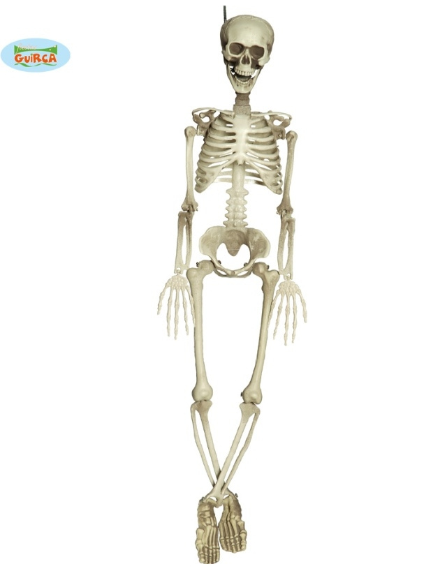 Esqueleto 90 Cm