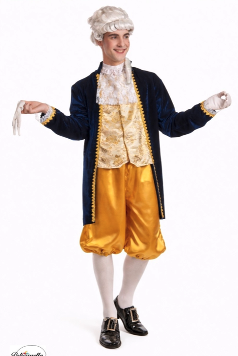 Disfraz Luis XV  época hombre
