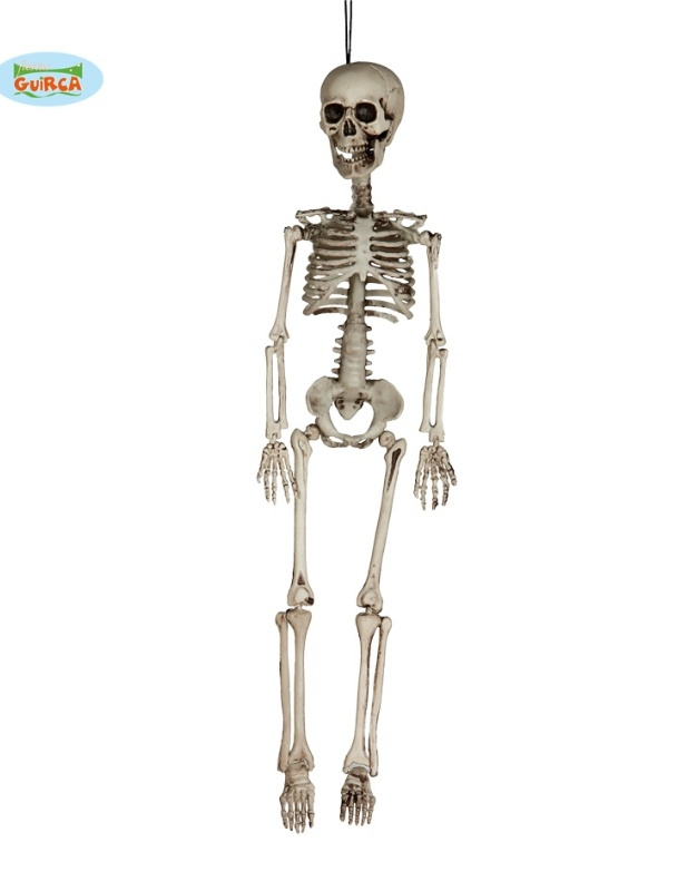 Esqueleto 60cm