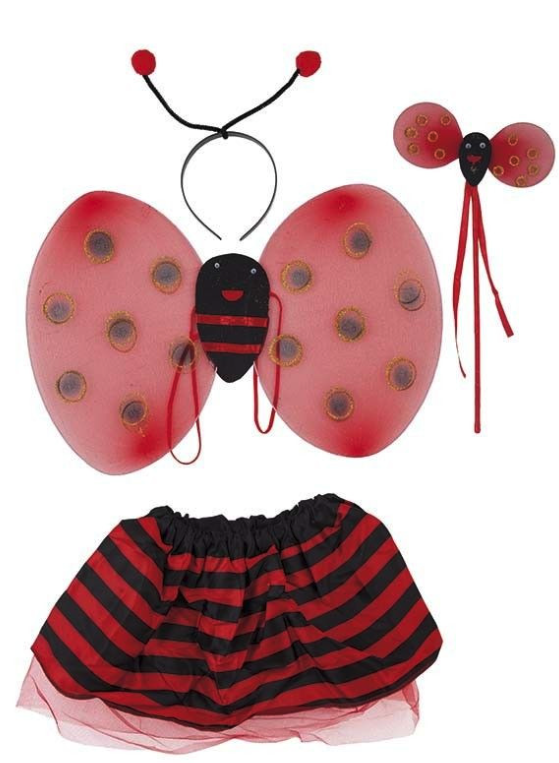 Conjunto Joaninha - Varinha + asas (50x34)